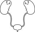 Illustration of cute kidney and bladder outline