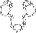 Illustration of cute kidney and bladder outline