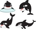 Cute Killer whale cartoon collection set