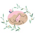 Illustration of a cute kitten sleeping curled up in a ball Royalty Free Stock Photo