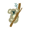 Illustration of Cute Koala Bear sits on the tree and eats leaves.