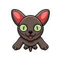 Cute korat cat cartoon flying