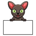 Cute korat cat cartoon holding blank sign Royalty Free Stock Photo