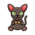 Cute korat cat cartoon holding food bowl