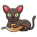 Cute korat cat cartoon on the pillow Royalty Free Stock Photo