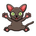 Cute korat cat cartoon raising hands