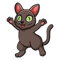 Cute korat cat cartoon raising hands