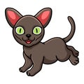 Cute korat cat cartoon walking