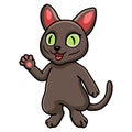 Cute korat cat cartoon waving hand