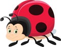 Illustration of cute ladybug cartoon Royalty Free Stock Photo