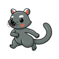 Cute little bearcat cartoon posing