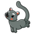 Cute little bearcat cartoon posing