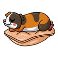 Cute little guinea pig cartoon sleeping Royalty Free Stock Photo