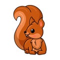 Cute little squirrel cartoon lying down