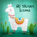 Cute llama Royalty Free Stock Photo