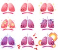 Illustration of a cute Gradation lung and diaphragm set