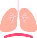 Illustration of a cute lung and diaphragm