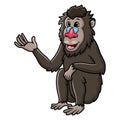 Cute mandrill baboon cartoon on white background