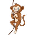 Cute monkey cartoon hanging in tree branch Royalty Free Stock Photo