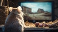 A cute mouse watching TV