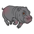 Illustration of cute naturalistic Hippopotamus