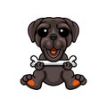 Cute neapolitan mastiff dog cartoon holding a bone