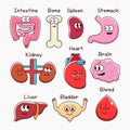 Illustration of cute organs cartoon. Symbol icon concept isolated premium vector Royalty Free Stock Photo