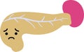 Illustration of a cute pancreas and spleen