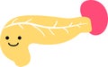 Illustration of a cute pancreas and spleen