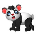 Cute bear illustrationcute panda illustration Royalty Free Stock Photo