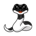 Cute panda pied ball python cartoon Royalty Free Stock Photo