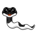Cute panda pied ball python cartoon Royalty Free Stock Photo