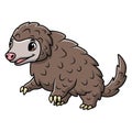 Cute pangolin cartoon on white background