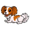 Cute papillon dog cartoon laying down Royalty Free Stock Photo