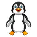 Cute penguin cartoon on white background Royalty Free Stock Photo