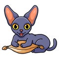 Cute peterbald cat cartoon on the pillow