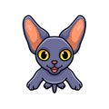 Cute peterbald cat cartoon posing