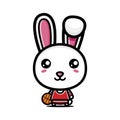 Cute rabbit animal cartoon character becomes a basketball player Royalty Free Stock Photo