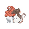 Illustration with cute rat with cupcakes.