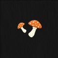 Illustration with cute red amanita, red mushroom