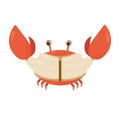 Illustration of a cute red crab in a beige jacket on a white background