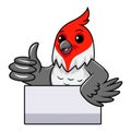 Cute red crested cardinal bird cartoon giving thumb up