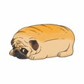 Illustration cute sad pug dog Royalty Free Stock Photo