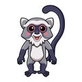 Cute samango monkey cartoon standing Royalty Free Stock Photo