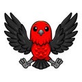 Cute scarlet tanager bird cartoon flying