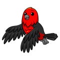 Cute scarlet tanager bird cartoon flying