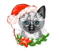 Illustration. Cute Siamese kitten in a Christmas Santa Claus hat. Sketch in a realistic style. Royalty Free Stock Photo