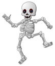 Cute skeleton cartoon