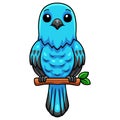 Cute spangled cotinga bird cartoon on tree branch