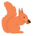 Illustration of cute squirrel eats nut on autumn background Royalty Free Stock Photo